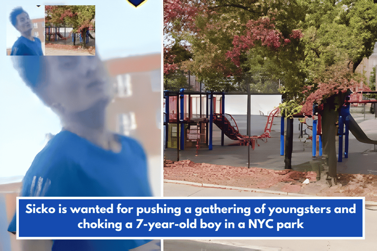 Sicko is wanted for pushing a gathering of youngsters and choking a 7-year-old boy in a NYC park