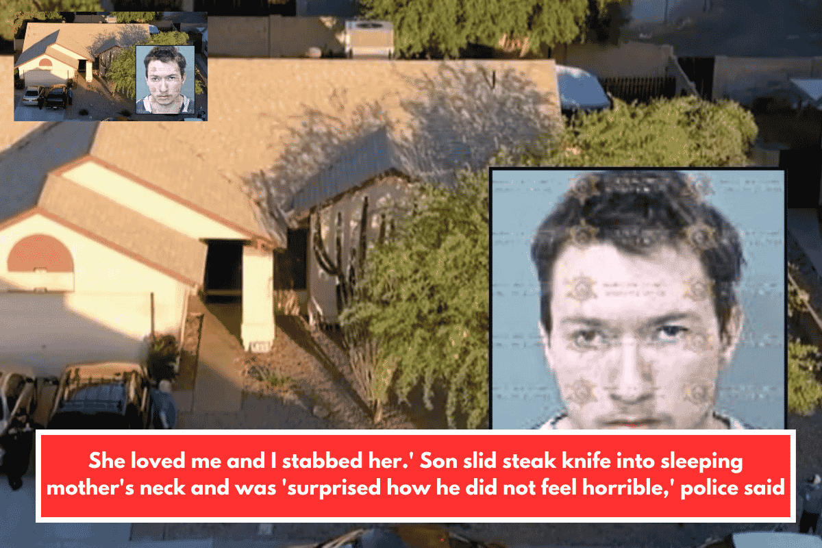 She loved me and I stabbed her.' Son slid steak knife into sleeping mother's neck and was 'surprised how he did not feel horrible,' police said