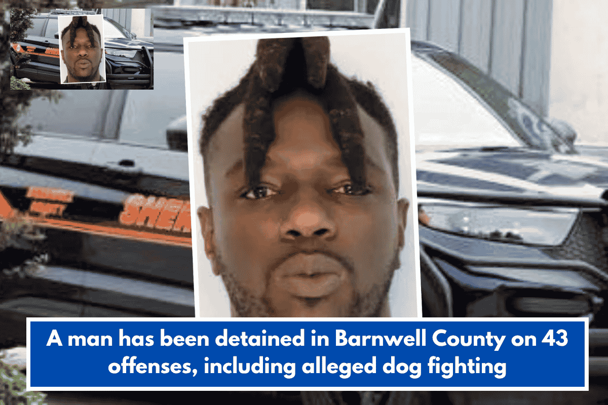 A man has been detained in Barnwell County on 43 offenses, including alleged dog fighting