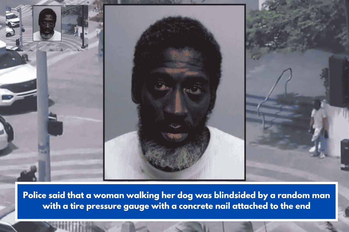 Police said that a woman walking her dog was blindsided by a random man with a tire pressure gauge with a concrete nail attached to the end