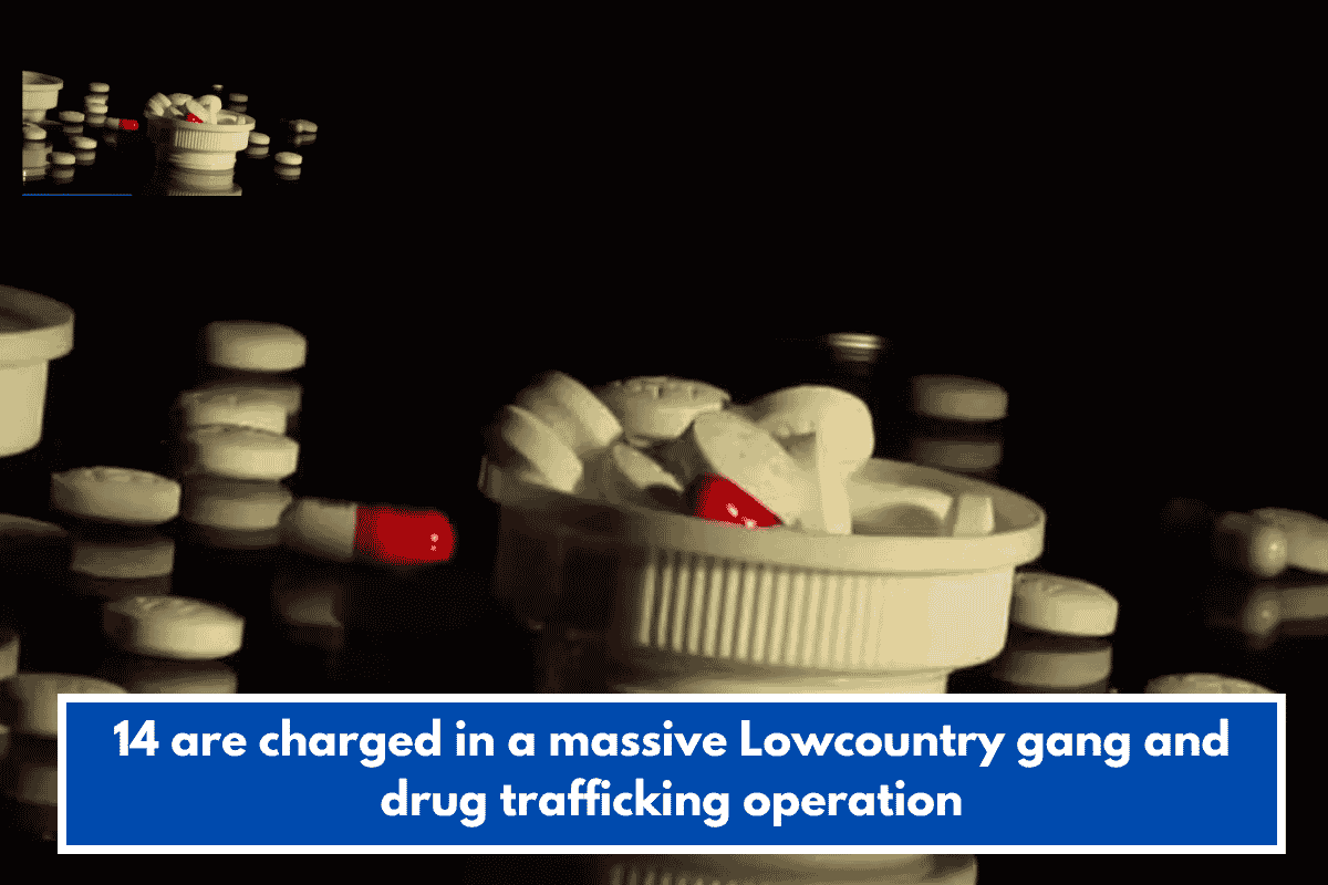 14 are charged in a massive Lowcountry gang and drug trafficking operation