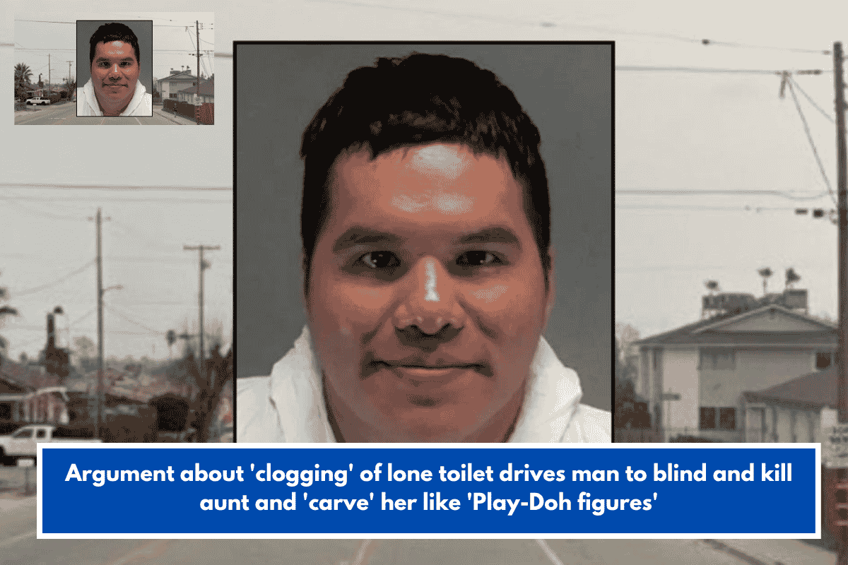 Argument about 'clogging' of lone toilet drives man to blind and kill aunt and 'carve' her like 'Play-Doh figures'