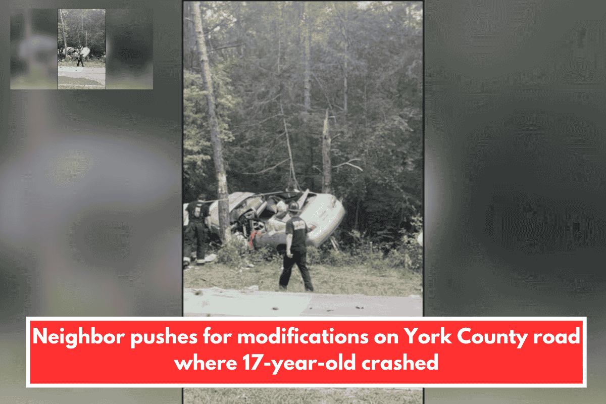 Neighbor pushes for modifications on York County road where 17-year-old crashed