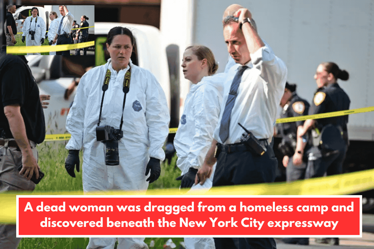 A dead woman was dragged from a homeless camp and discovered beneath the New York City expressway