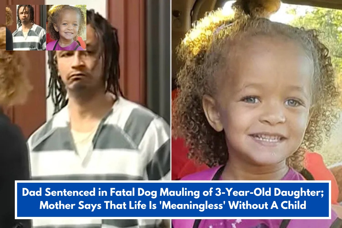 Dad Sentenced in Fatal Dog Mauling of 3-Year-Old Daughter; Mother Says That Life Is 'Meaningless' Without A Child