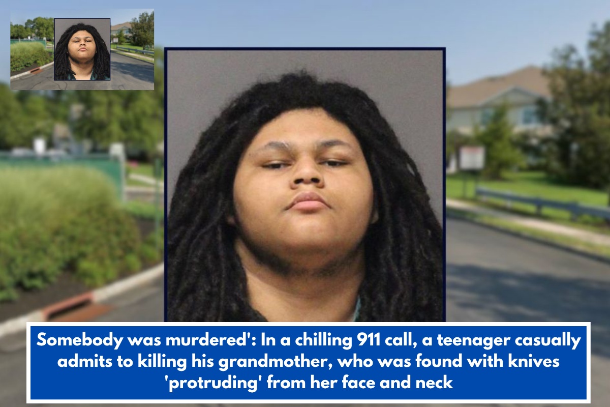 Somebody was murdered': In a chilling 911 call, a teenager casually admits to killing his grandmother, who was found with knives 'protruding' from her face and neck