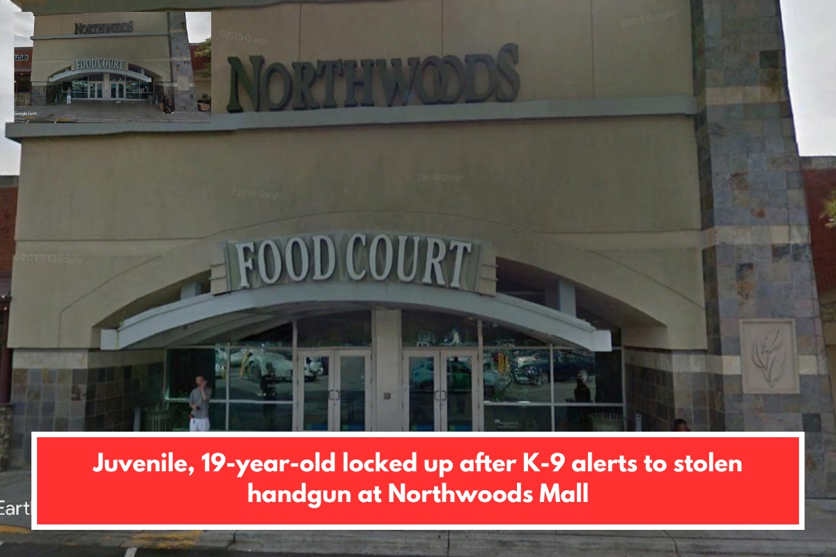 Juvenile, 19-year-old locked up after K-9 alerts to stolen handgun at Northwoods Mall