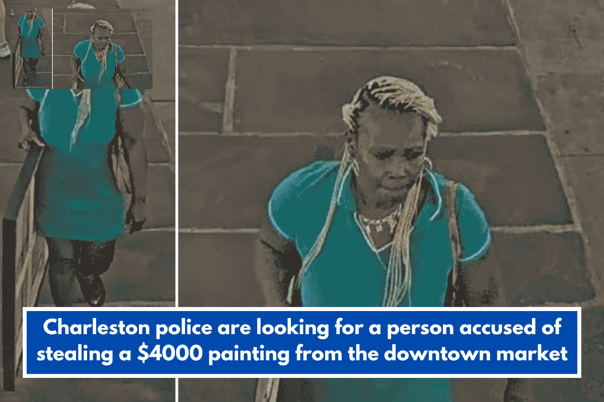 Charleston police are looking for a person accused of stealing a $4000 painting from the downtown market