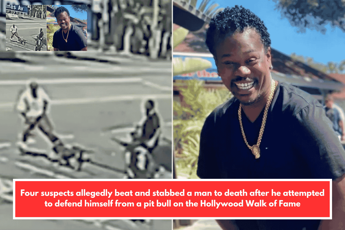 Four suspects allegedly beat and stabbed a man to death after he attempted to defend himself from a pit bull on the Hollywood Walk of Fame
