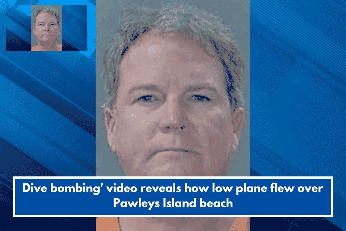 Dive bombing' video reveals how low plane flew over Pawleys Island beach