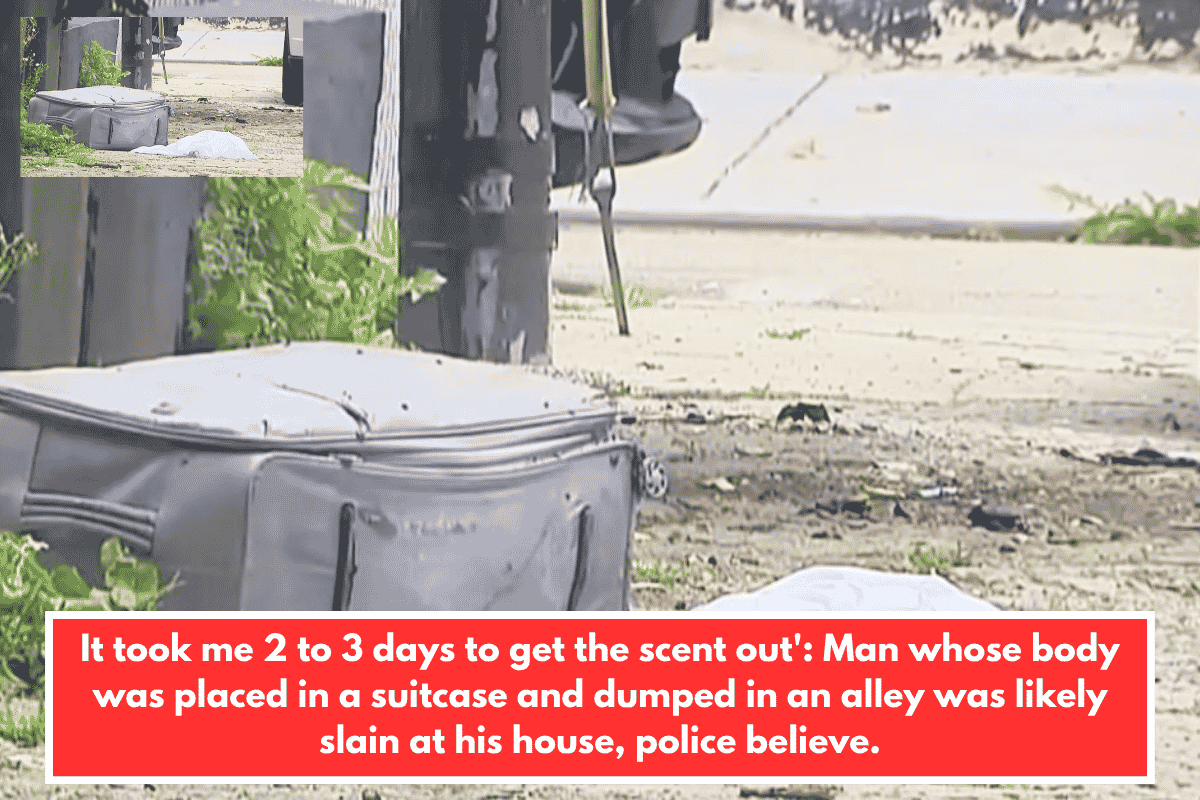It took me 2 to 3 days to get the scent out': Man whose body was placed in a suitcase and dumped in an alley was likely slain at his house, police believe.