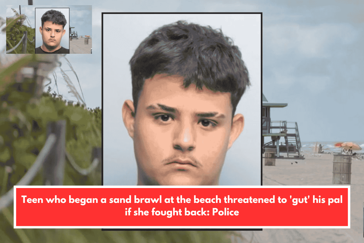 Teen who began a sand brawl at the beach threatened to 'gut' his pal if she fought back: Police