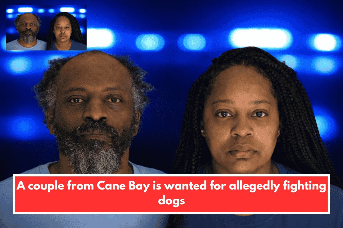 A couple from Cane Bay is wanted for allegedly fighting dogs