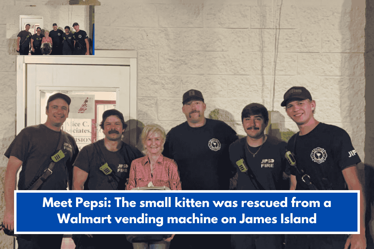 Meet Pepsi: The small kitten was rescued from a Walmart vending machine on James Island