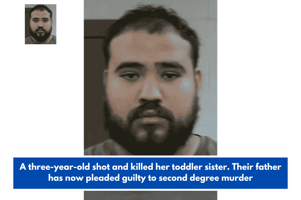A three-year-old shot and killed her toddler sister. Their father has now pleaded guilty to second degree murder