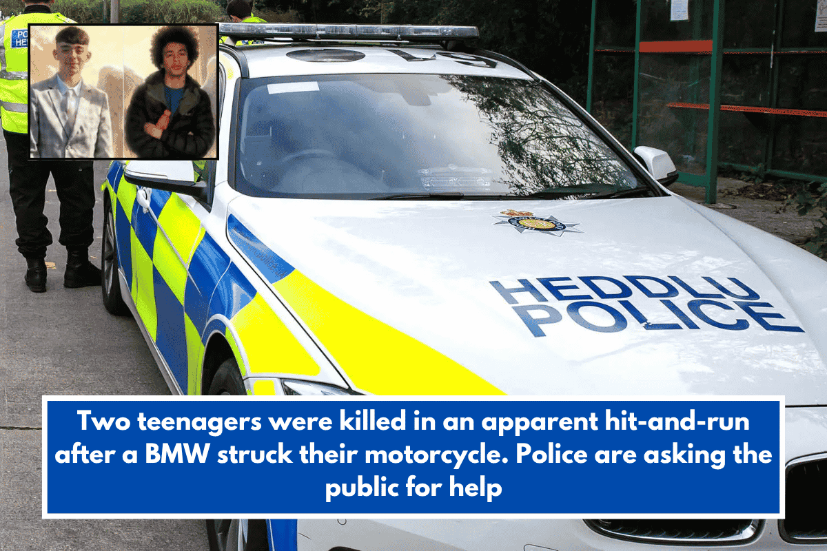 Two teenagers were killed in an apparent hit-and-run after a BMW struck their motorcycle. Police are asking the public for help