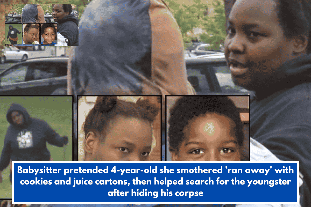 Babysitter pretended 4-year-old she smothered 'ran away' with cookies and juice cartons, then helped search for the youngster after hiding his corpse