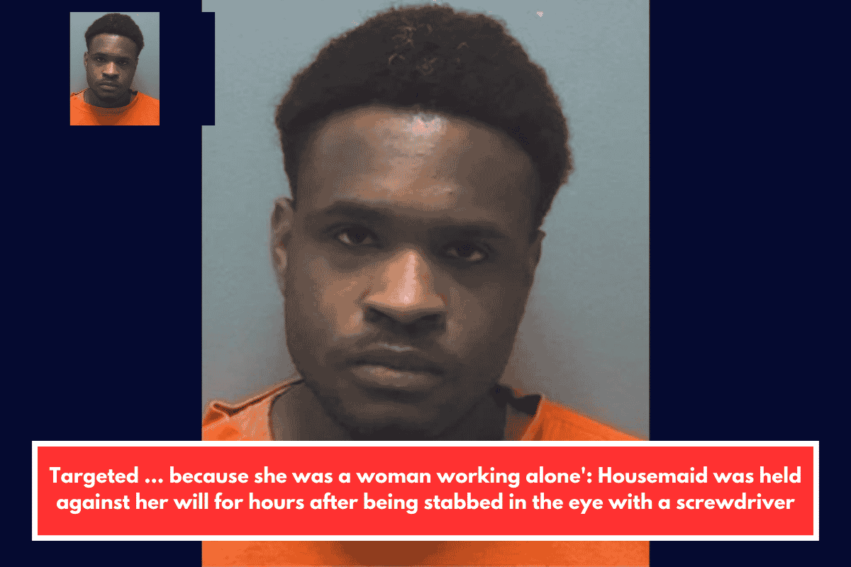Targeted … because she was a woman working alone': Housemaid was held against her will for hours after being stabbed in the eye with a screwdriver