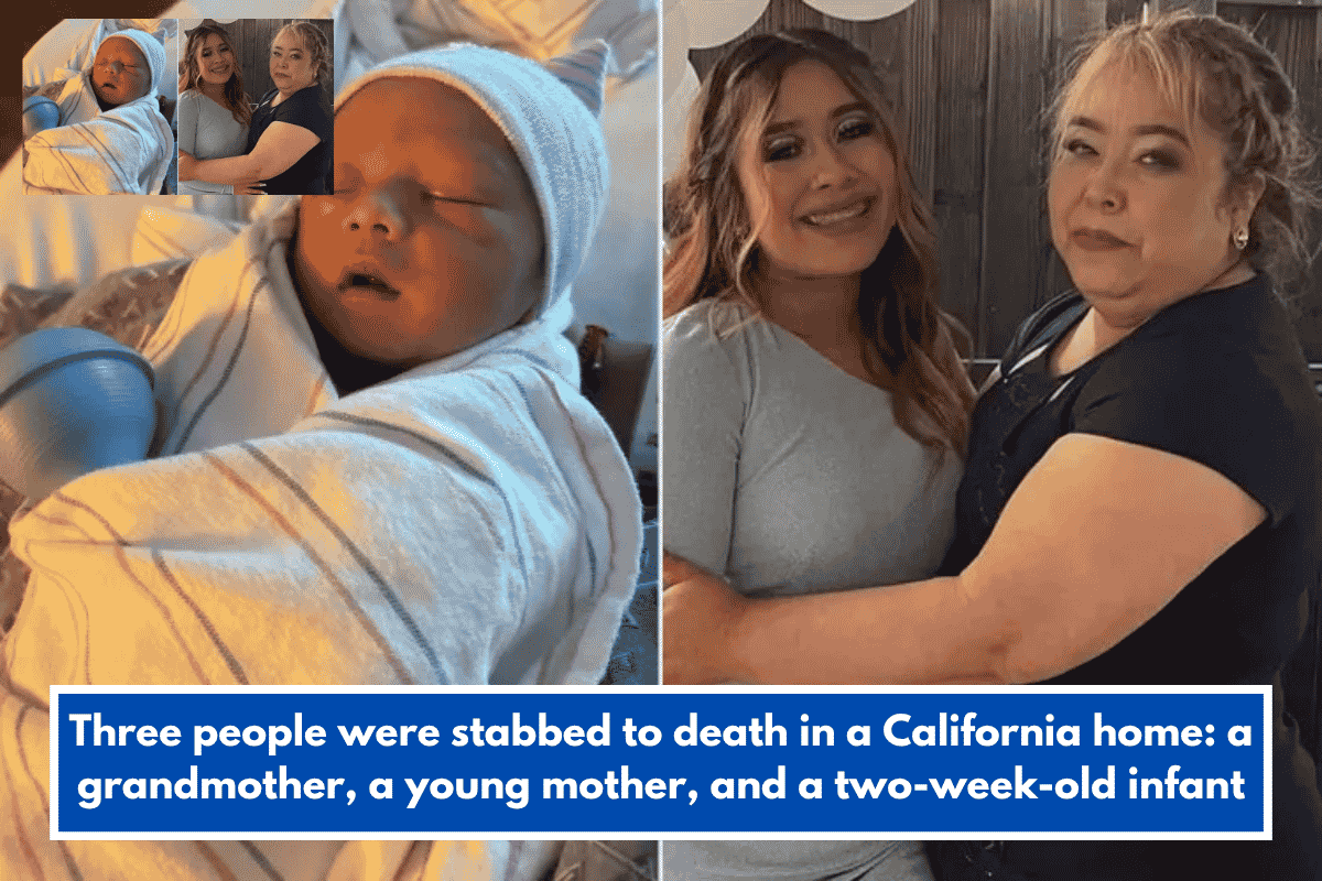 Three people were stabbed to death in a California home: a grandmother, a young mother, and a two-week-old infant