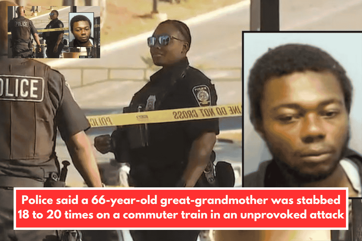 Police said a 66-year-old great-grandmother was stabbed 18 to 20 times on a commuter train in an unprovoked attack