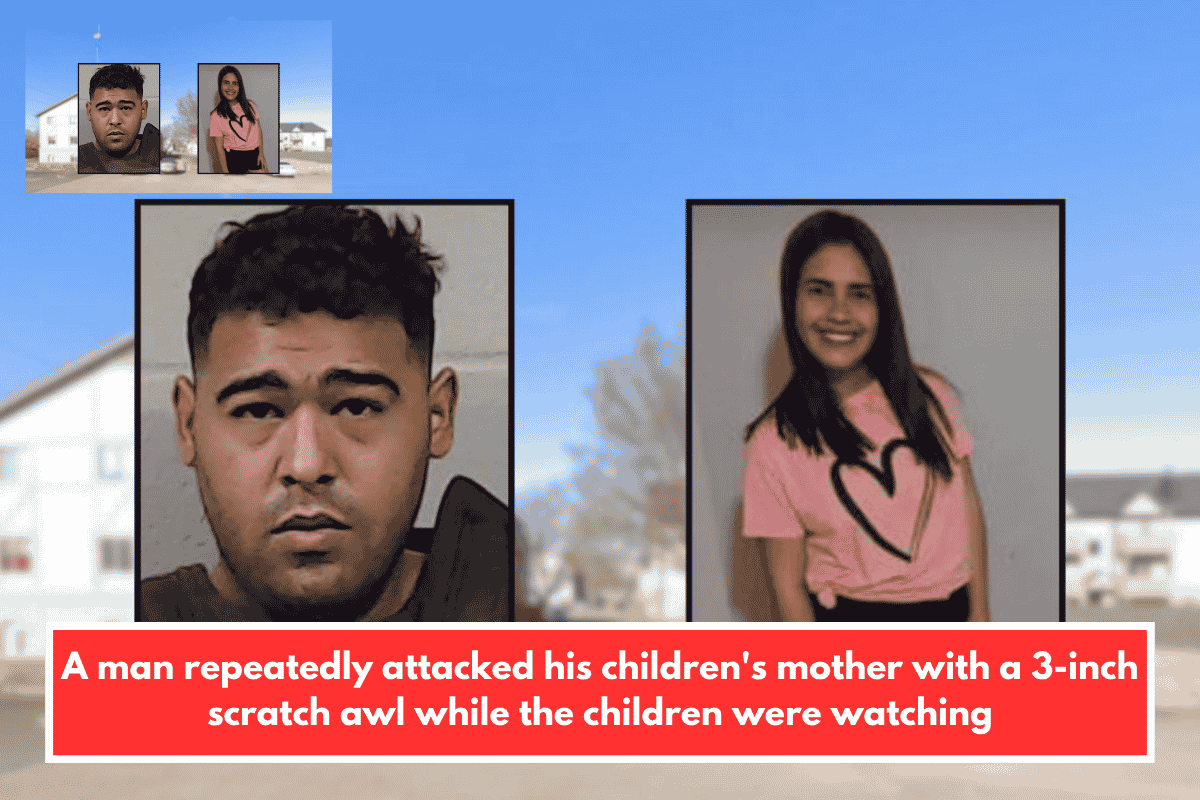 A man repeatedly attacked his children's mother with a 3-inch scratch awl while the children were watching
