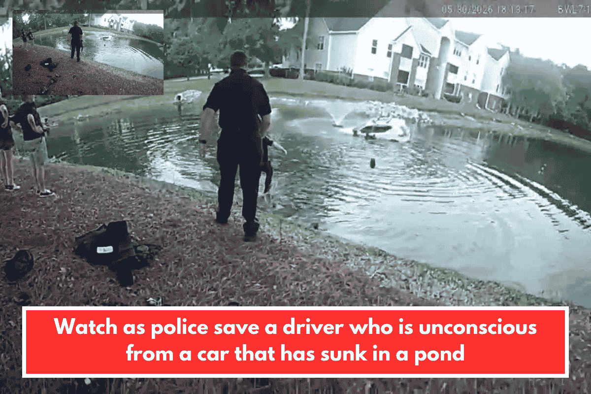 Watch as police save a driver who is unconscious from a car that has sunk in a pond