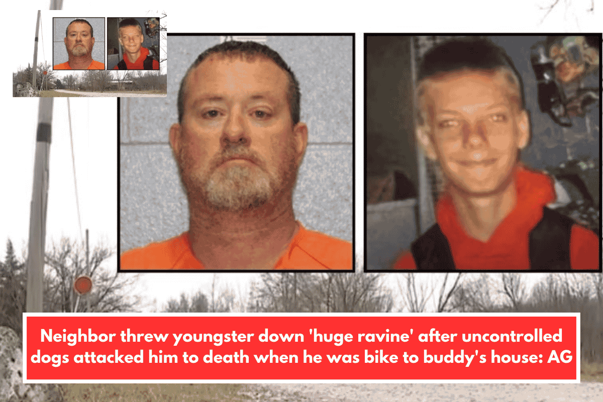 Neighbor threw youngster down 'huge ravine' after uncontrolled dogs attacked him to death when he was bike to buddy's house: AG