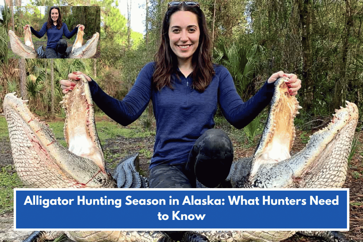 Alligator Hunting Season in Alaska: What Hunters Need to Know