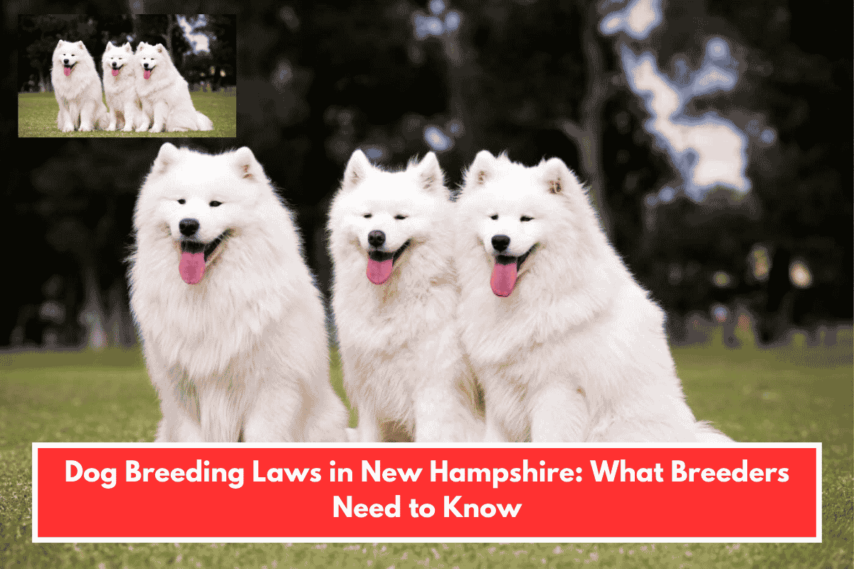 Dog Breeding Laws in New Hampshire: What Breeders Need to Know