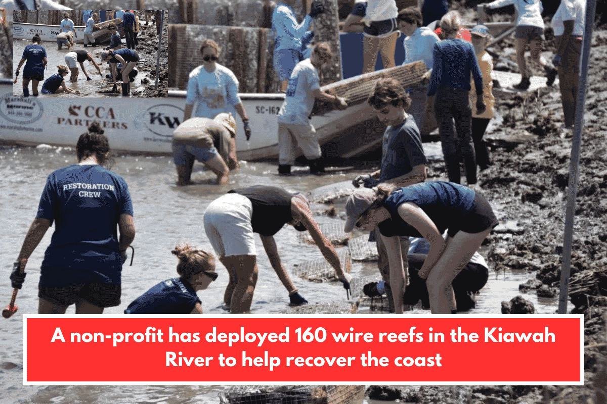 A non-profit has deployed 160 wire reefs in the Kiawah River to help recover the coast