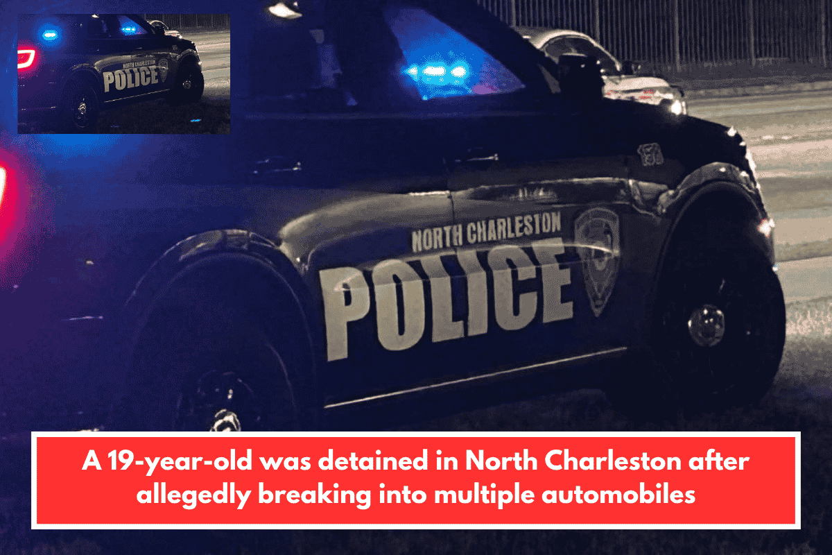 A 19-year-old was detained in North Charleston after allegedly breaking into multiple automobiles