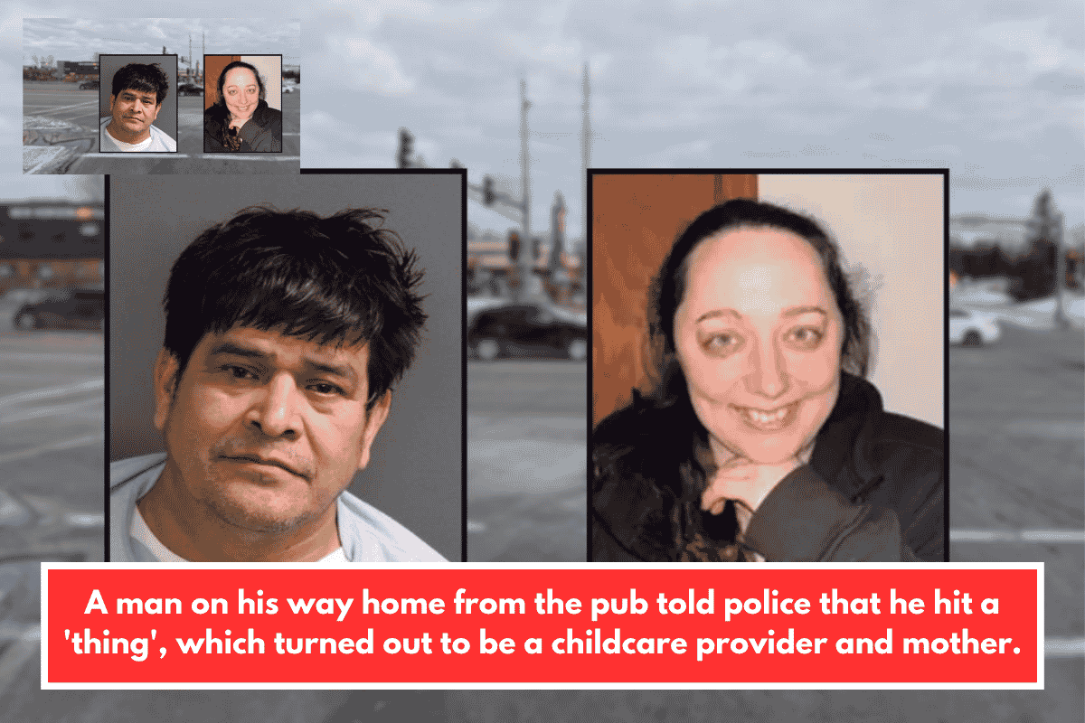 A man on his way home from the pub told police that he hit a 'thing', which turned out to be a childcare provider and mother.