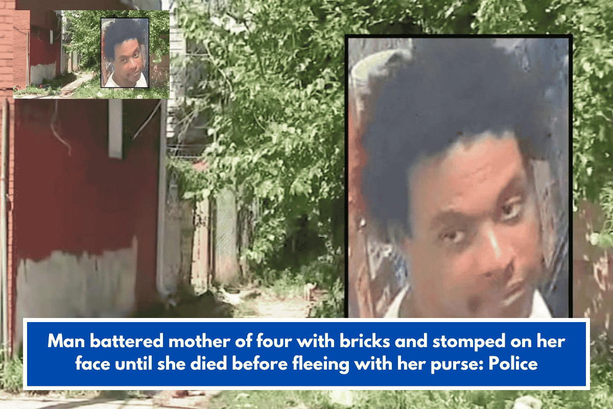 Man battered mother of four with bricks and stomped on her face until she died before fleeing with her purse: Police
