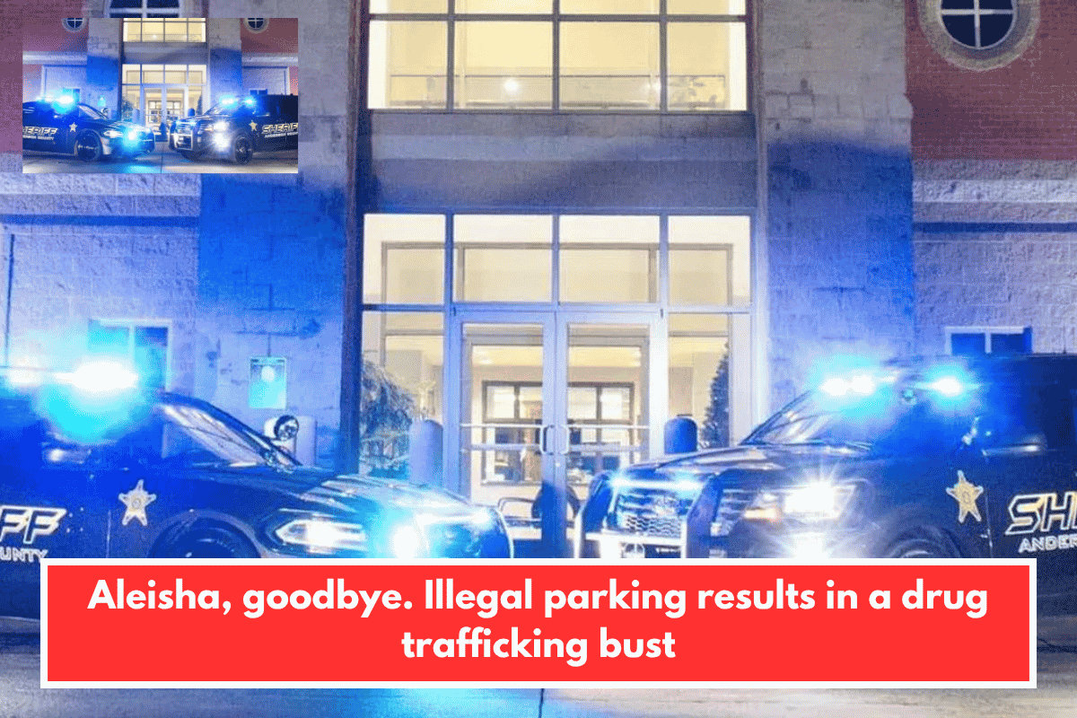 Aleisha, goodbye. Illegal parking results in a drug trafficking bust